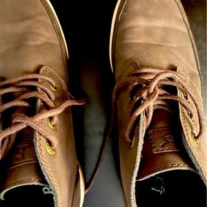 Shoes, brown, boots, men
